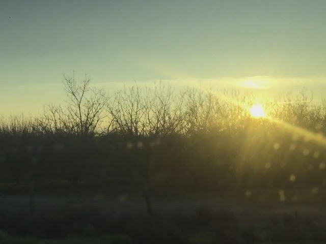 Heading In The Direction Of The Rising Sun