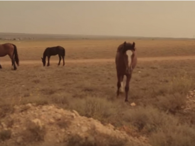 Cinderella (She Said Her Name)