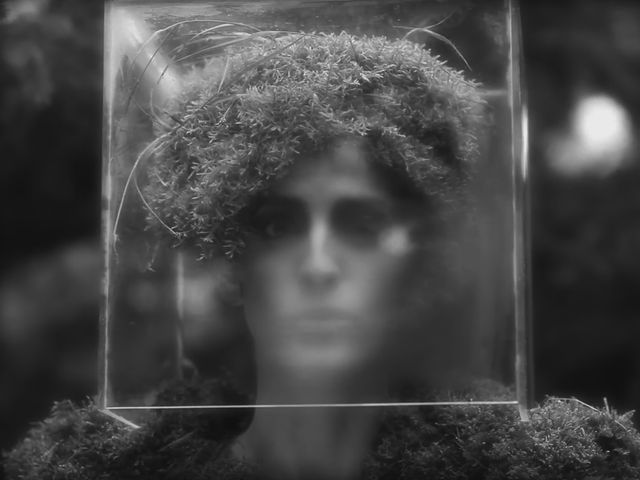 Wealth In The Country