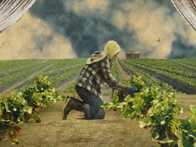 The Season / Carry Me / The Waters