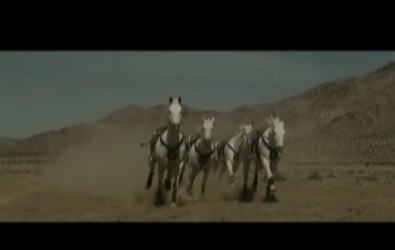 Only The Horses