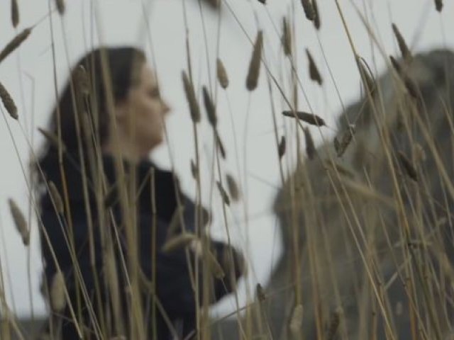 1000 Ruined Holidays