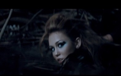 Can’t Be Tamed