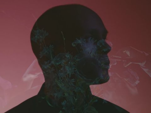 What’s That Perfume That You Wear?