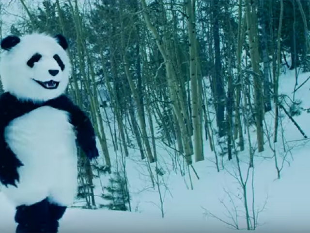 Dance The Night Away