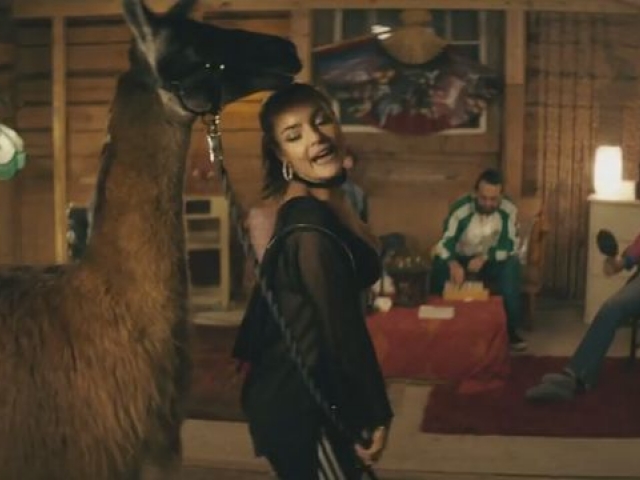 Llama In My Living Room