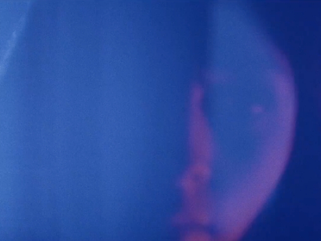 The Days We Were Young