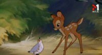 «Bambi»