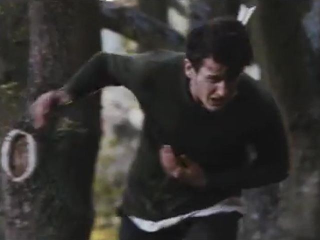 Hunger Of The Pine