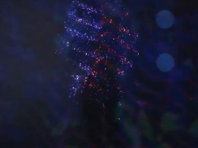 I Krill You