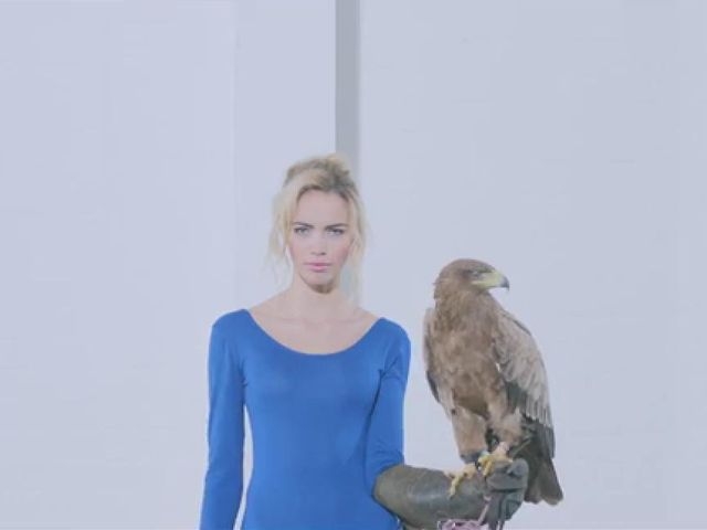 Out Of The Blue