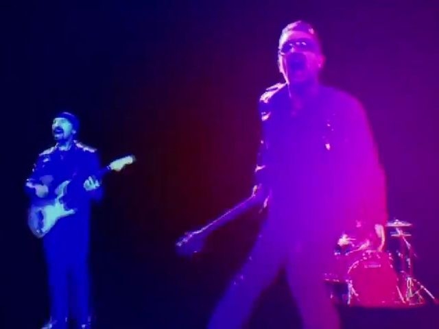 The Miracle (Of Joey Ramone)