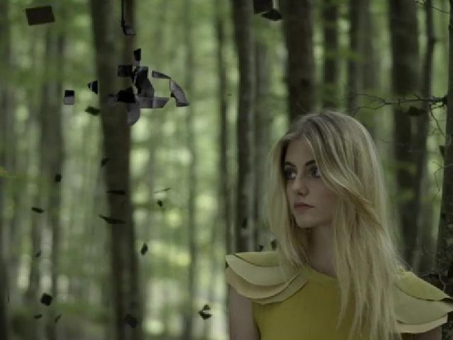 Fall