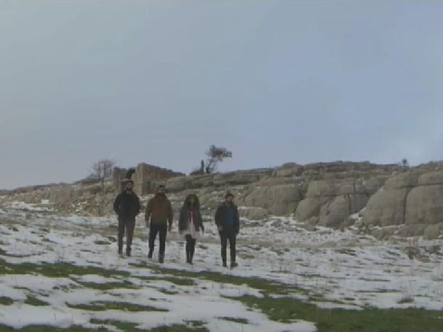 Where The Wild Ones
