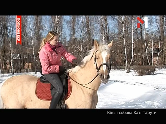 Кінь і собака Каті Тарути