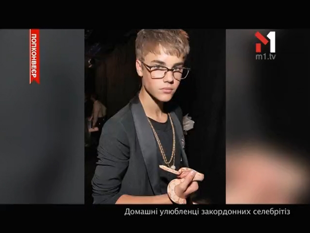 Домашні улюбленці закордонних зірок