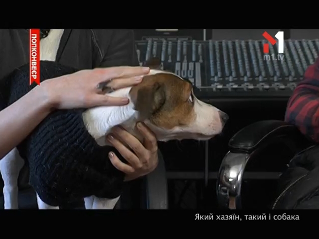 Який господар, такий і собака