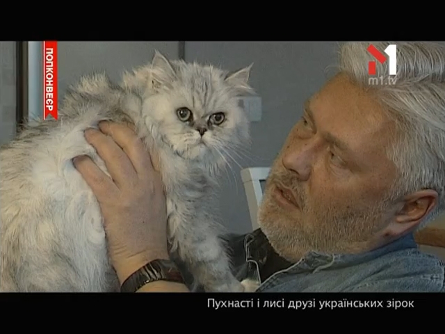 Пухнасті і лисі друзі українських зірок