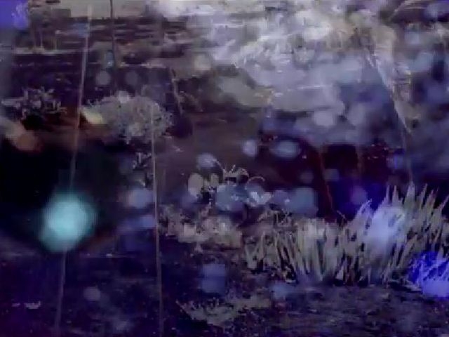 Crazy Rain