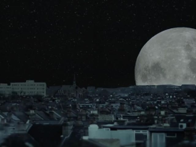 Moongee
