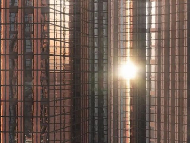 first light игра first light игра