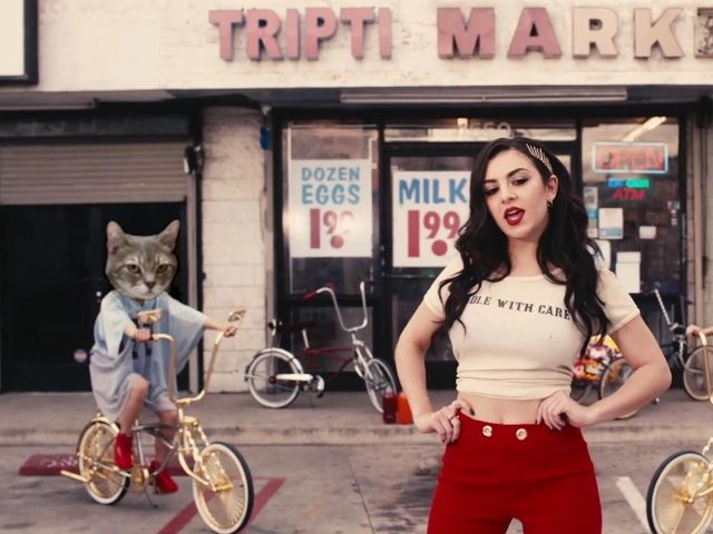 Drop That Kitty