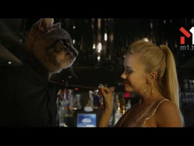Cool Cat