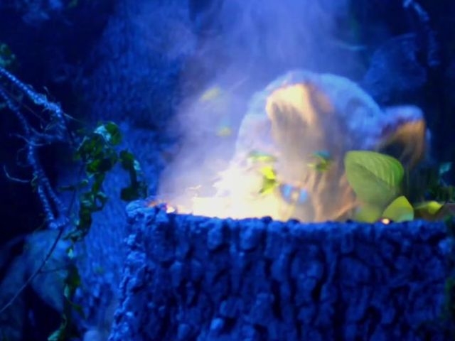 Asleep In The Deep