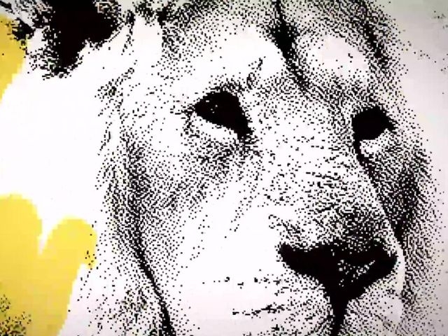 Lion Jungle