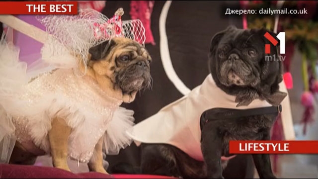 The Best. Арт-печери