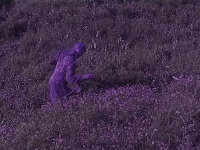 Purple Rage
