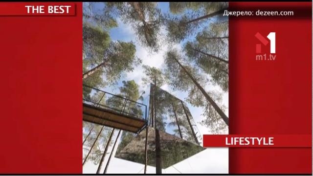 The Best. Скляний будинок на дереві