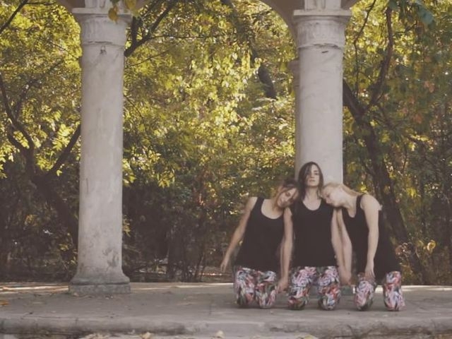 The Journey A Little Stork