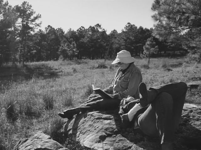 Just Like Them Horses