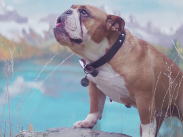 Streets Been Talkin’